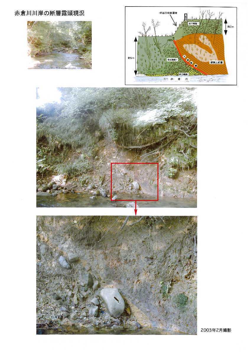 赤倉川川岸の断層露頭現況