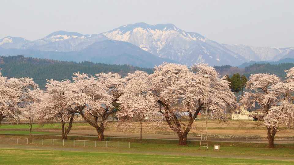 雪どけの真昼山