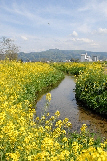 清水川(しずかわ)