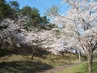 仏沢公園