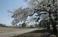 雁の里山本公園