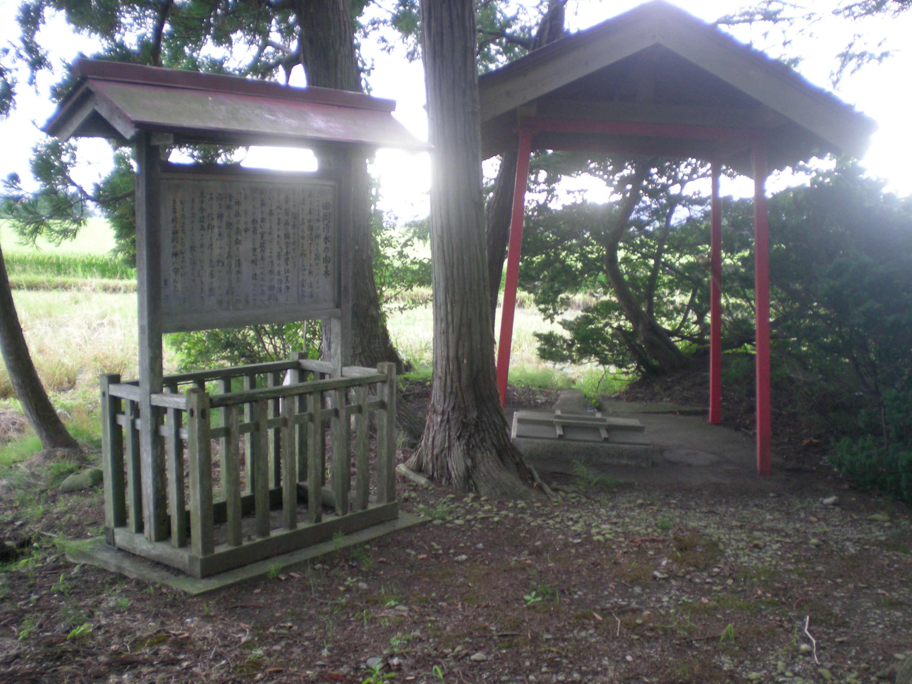 田岡の稲荷清水の写真