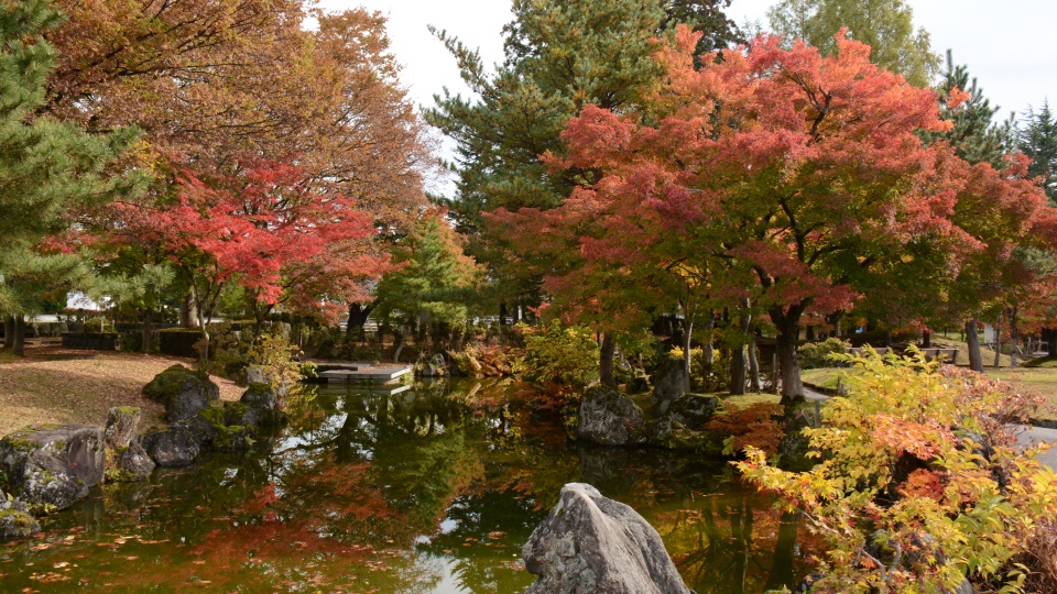 秋の中央公園