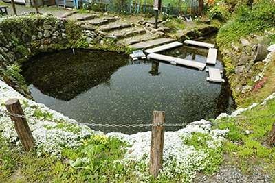 六郷湧水群の写真