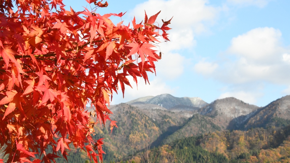 紅葉と真昼山