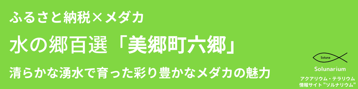 ソルナリウム（外部リンク）