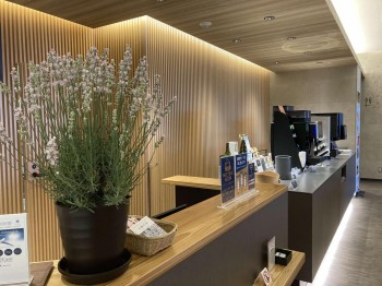 イベントPRのために空港ラウンジに設置された美郷町発祥の白いラベンダー「美郷雪華」の写真