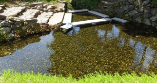 おだいどころしみず