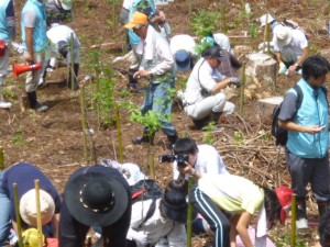 植樹のようす