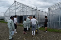 園芸メガ団地事業視察の様子