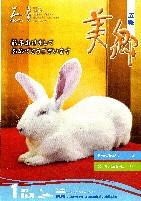 広報美郷平成22年12月号表紙