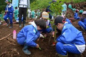 植樹のようす