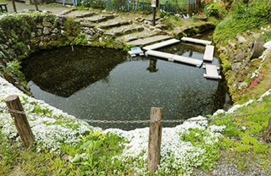 六郷湧水群 (ろくごうゆうすいぐん)