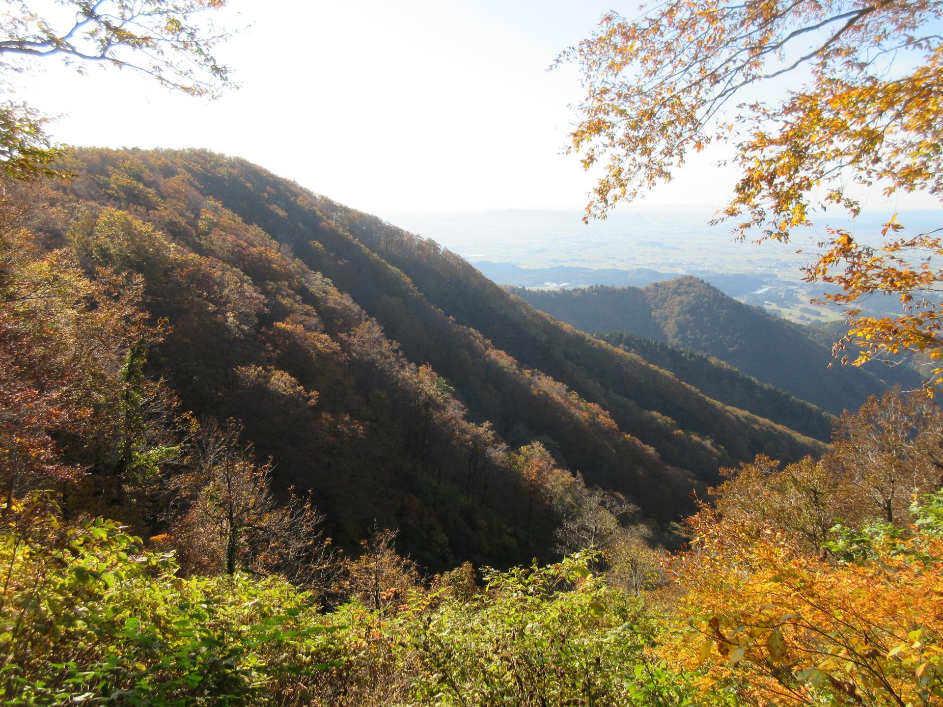 真昼岳紅葉1