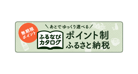無制限ポイント あとでゆっくり選べる ふるなびカタログ ポイント制ふるさと納税