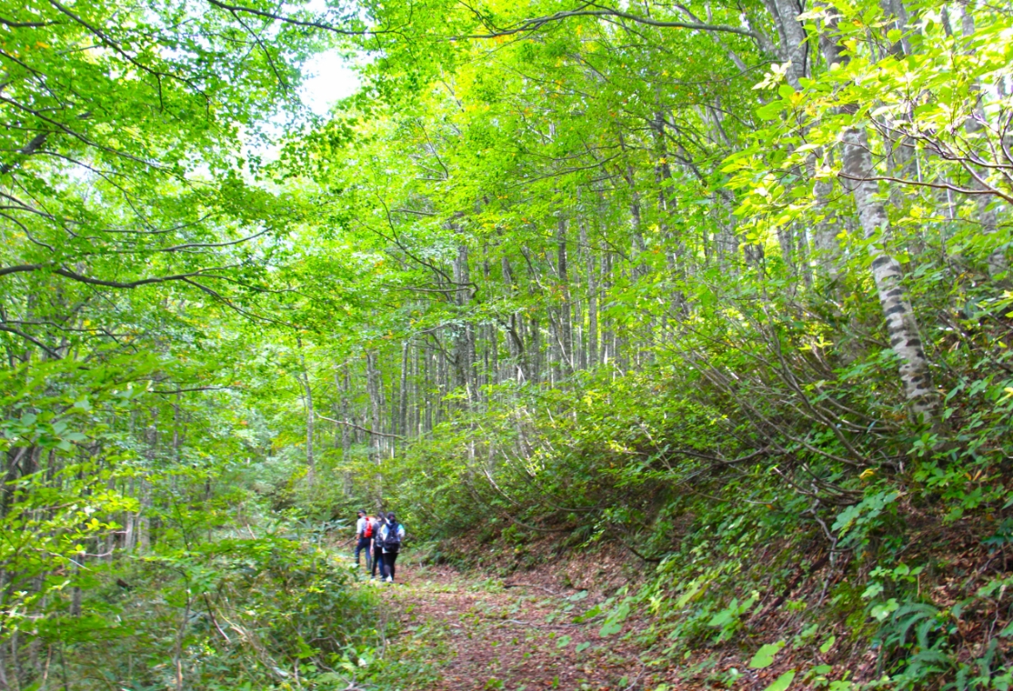 02.森林トレッキング