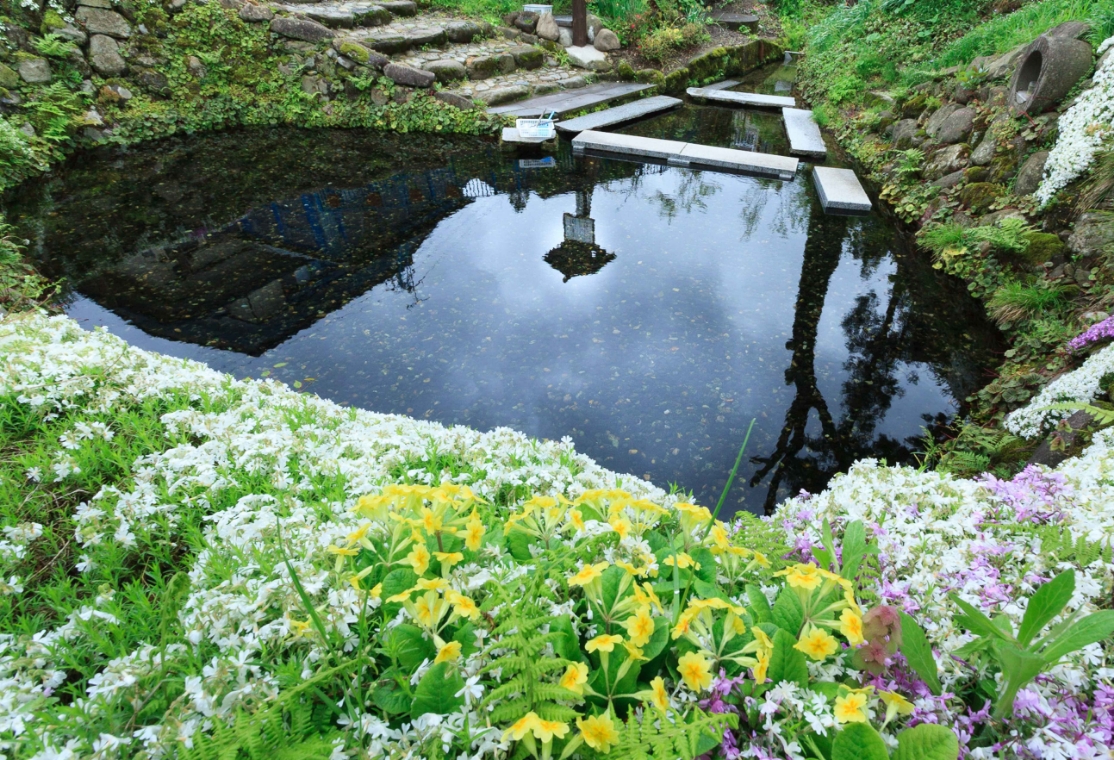 03.まち歩きと湧水めぐり